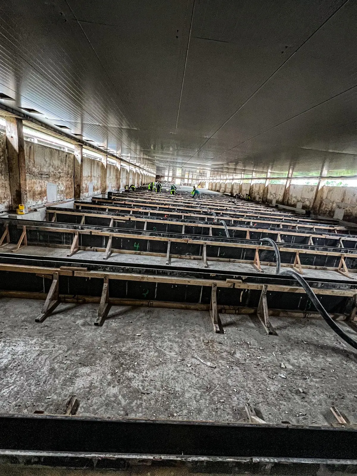 Příčky v 12 halách Paseka u Šternberka