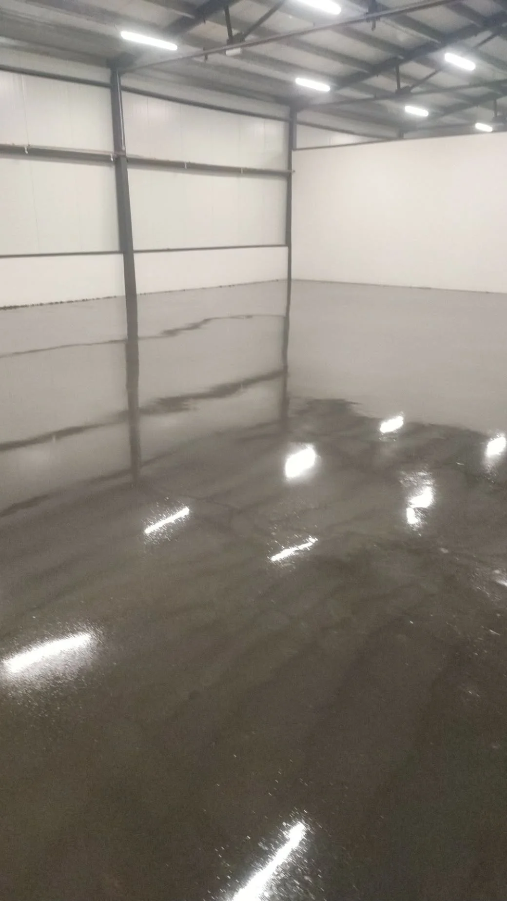 Lesk se zvedá s každým přejezdem – leštěný beton se vsypem, výrobní hala Pardubice 1 020 m²